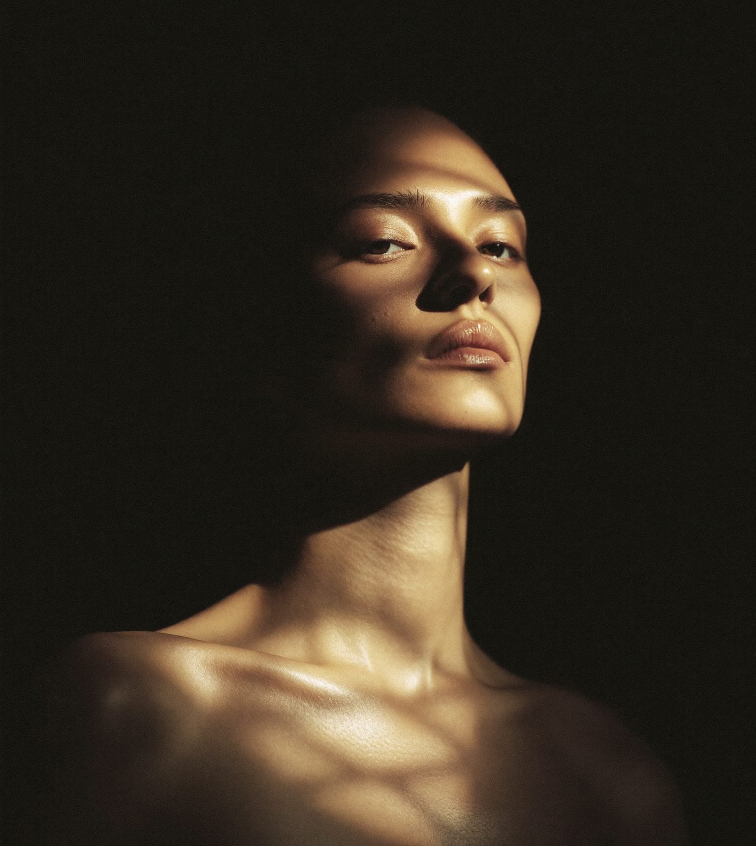 Editorial portrait carved by a blade of warm light