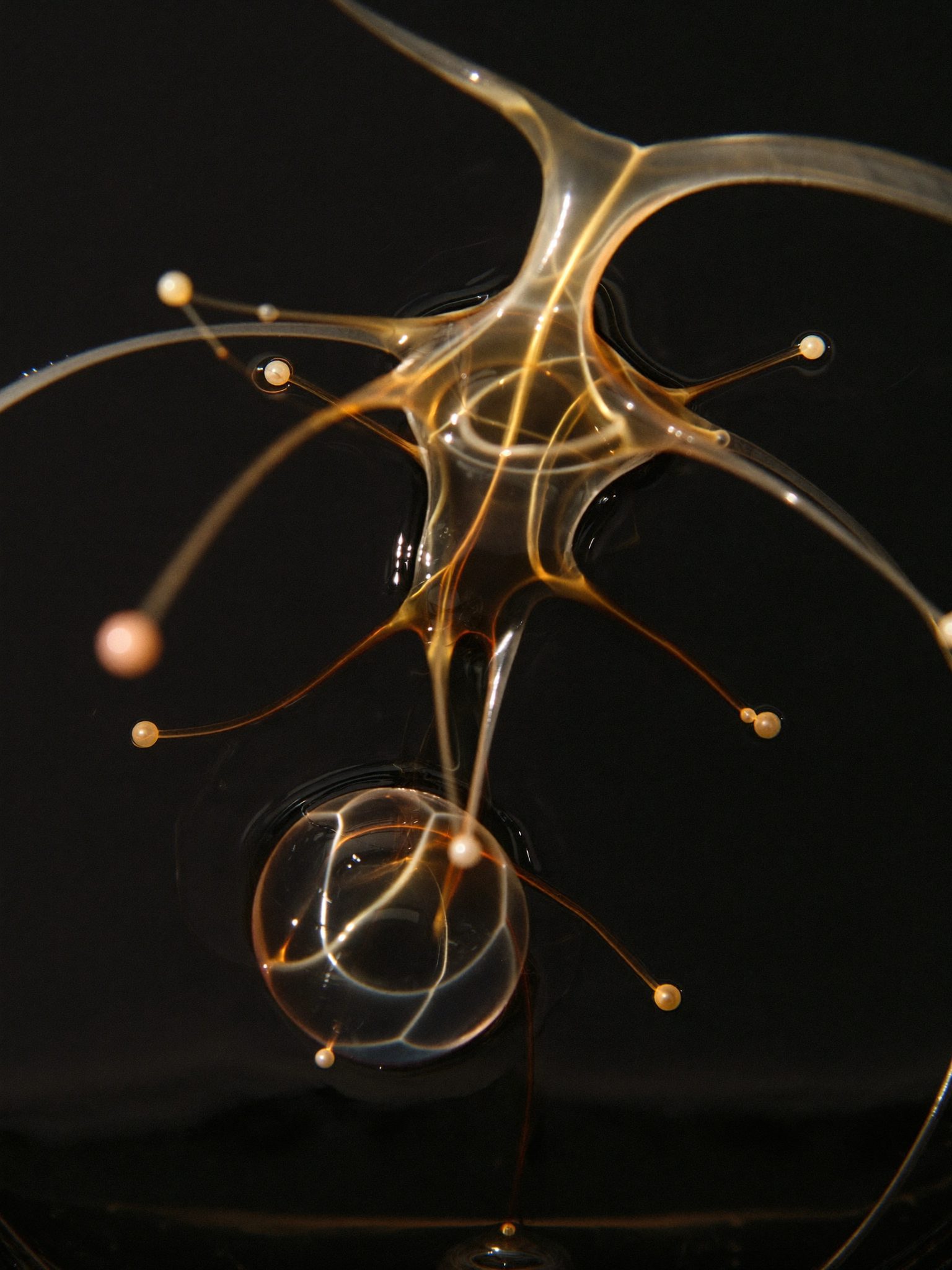 Bioluminescent organic forms suspended in black liquid
